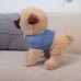 Мягкая игрушка Собака Мопс DL303508214BL